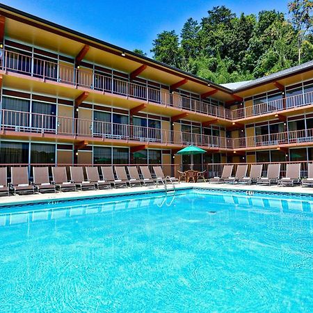Wild Bear Inn Пиджен Фордж Екстериор снимка